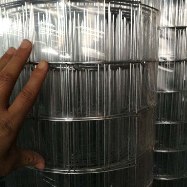 galvanized welded wire mesh For Sale 