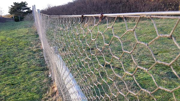 Hexagonal Wire Mesh supplier in china Hexagonal Wire Mesh supplier in china