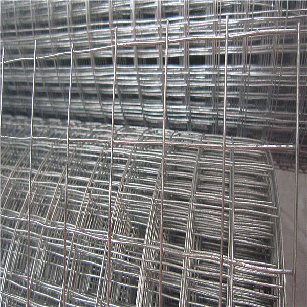Hot Dip Galvanised Wire Mesh For Sale