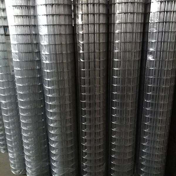 Galvanized Welded Wire Mesh Online