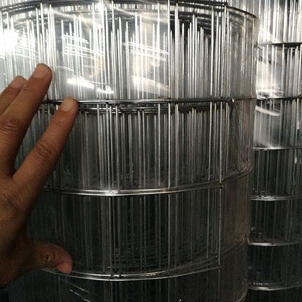 Galvanized Weled Wire Mesh For Sale