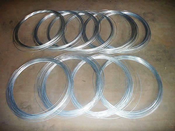 Electro Galvanized Wire
