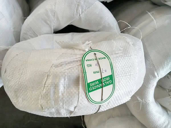 Electro Galvanized Wire