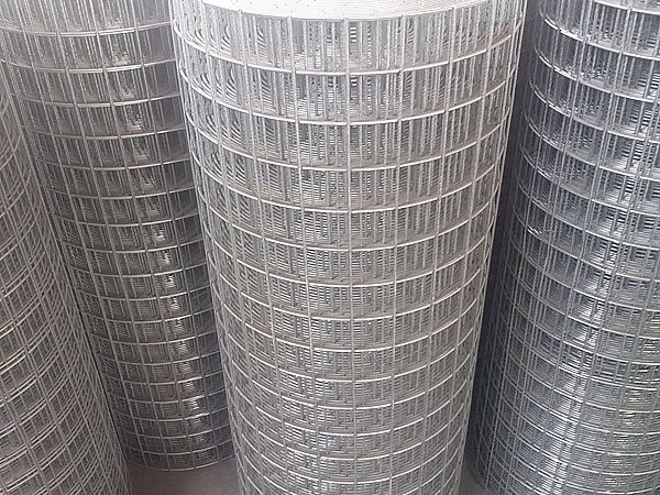 Galvanized Welded Wire Mesh