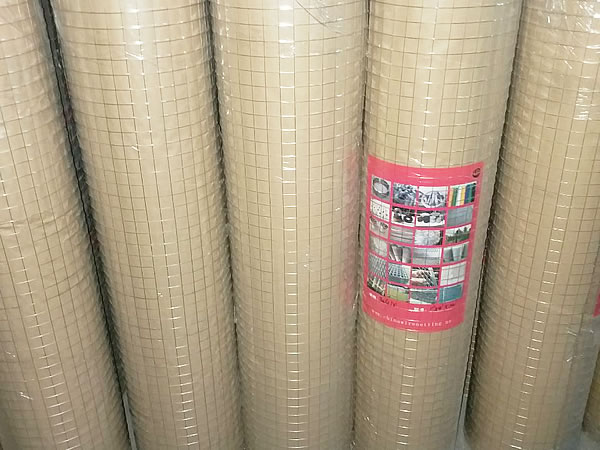Galvanized Welded Wire Mesh