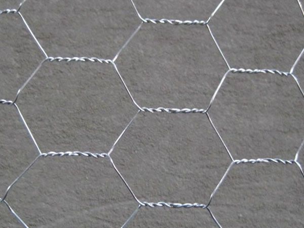 Hexagonal wire netting