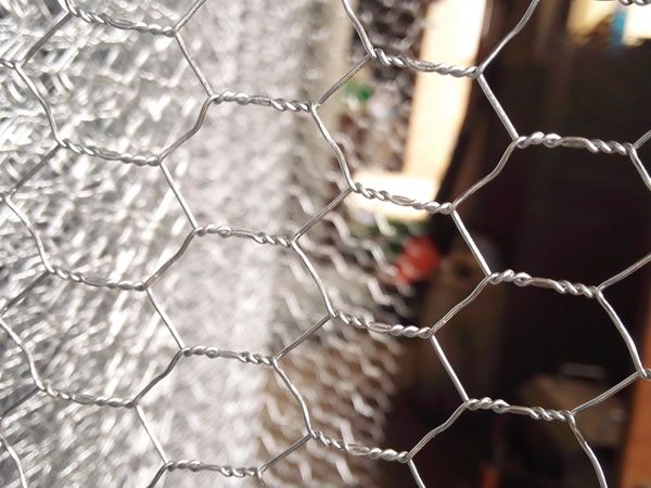 Hexagonal wire netting