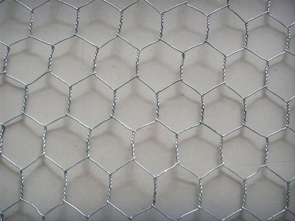 Hexagonal wire netting