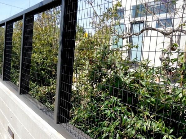 Welded Wire Mesh Fence