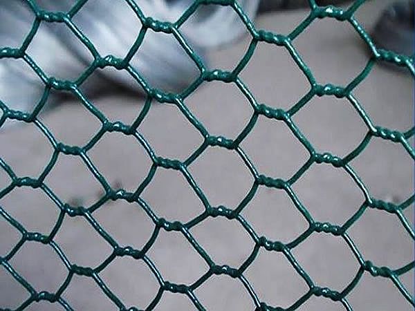 Pvc Coated Hexagonal Wire Mesh