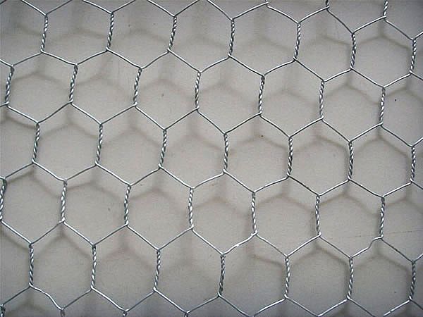 Hexagonal wire netting