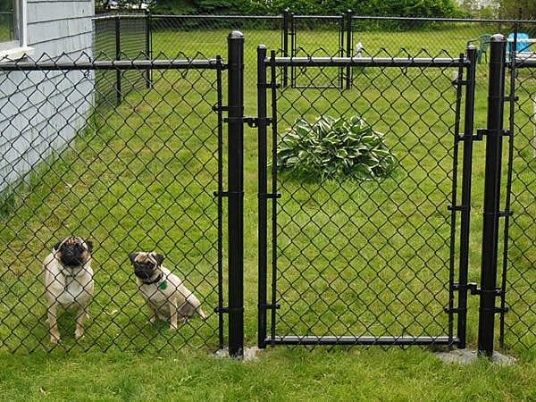 Chain Link Fence