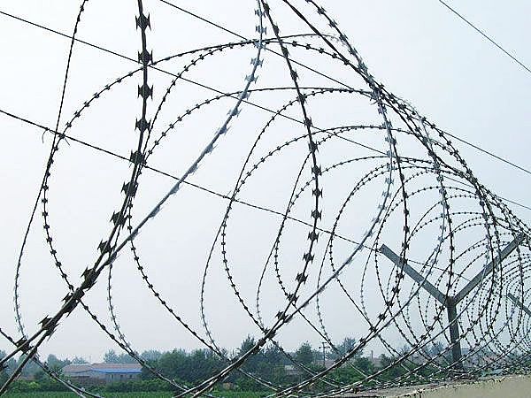 Concertina Razor Wire