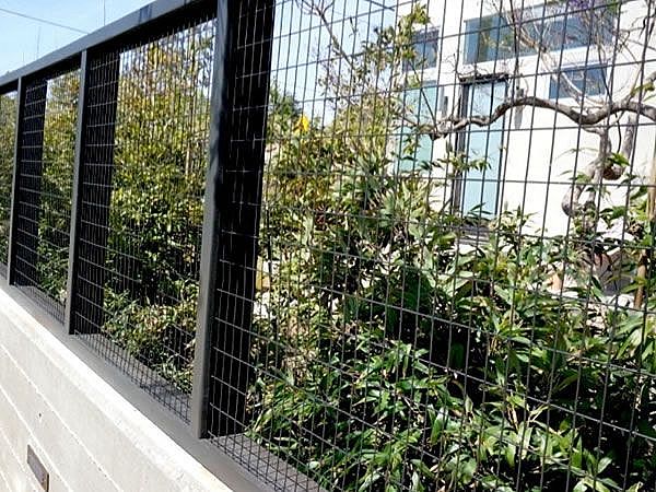 Welded Wire Mesh Fence