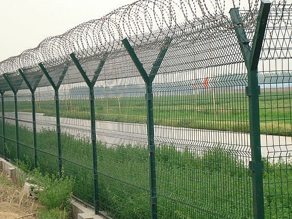 Welded Wire Mesh Fence